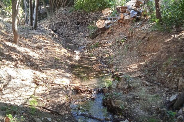 Βίντεο: Το ποταμάκι του Δαφνιού, ο δικός μας παράδεισος! 23