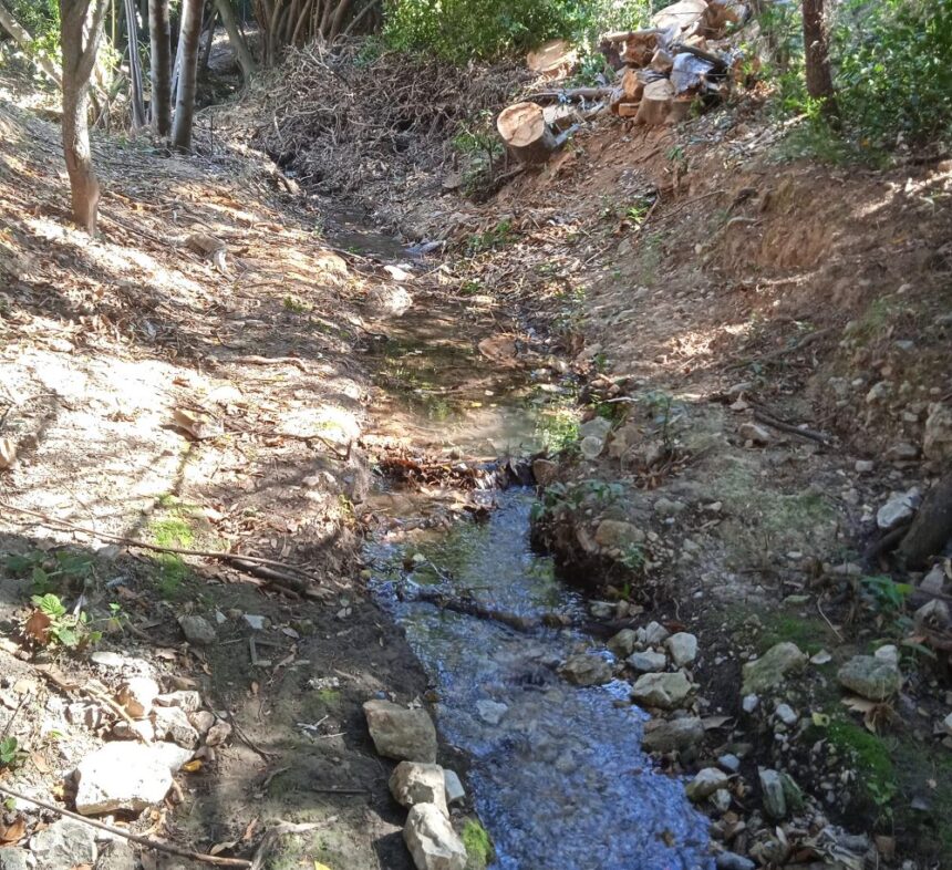 Βίντεο: Το ποταμάκι του Δαφνιού, ο δικός μας παράδεισος! 1