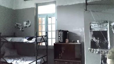 Εικαστική έκθεση στο Δρομοκαΐτειο: Ξορκίζοντας το "στίγμα" σε χώρους βασανισμού ψυχής και σώματος 55