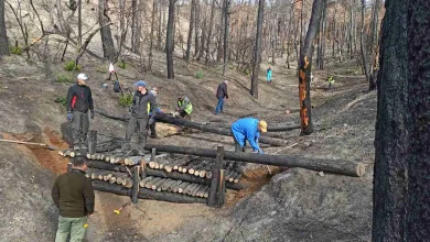 Πλέγμα μέτρων για την δασική προστασία με εκμετάλλευση της βιομάζας και έργα ορεινής υδρονομίας 13