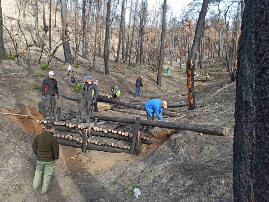 Πλέγμα μέτρων για την δασική προστασία με εκμετάλλευση της βιομάζας και έργα ορεινής υδρονομίας 1