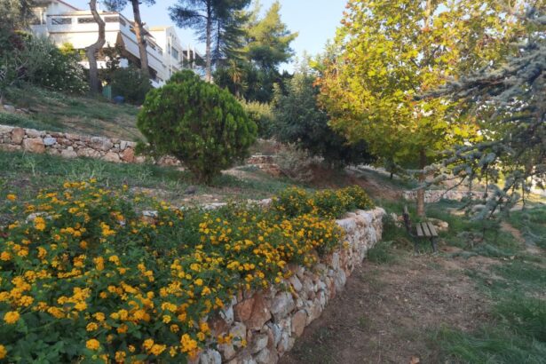 Τα λουλούδια στο Πάρκο Εθελοντισμού άντεξαν ένα πολύ δύσκολο καλοκαίρι! 41