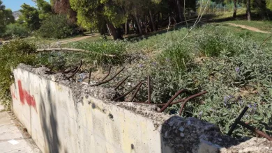 Το Χαϊδάρι είναι τυφλό! 30