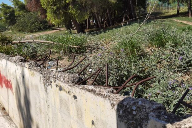 Το Χαϊδάρι είναι τυφλό! 27