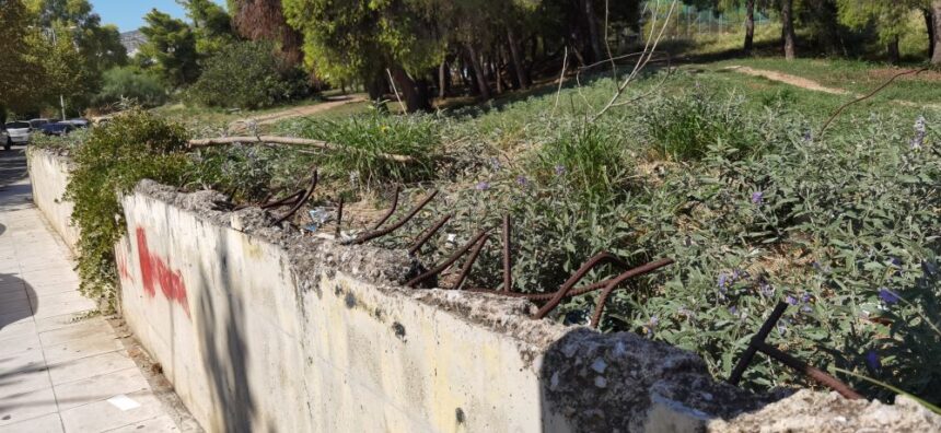 Το Χαϊδάρι είναι τυφλό! 1