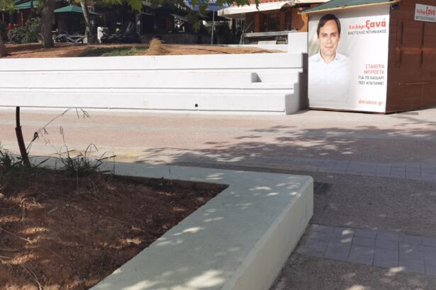 "Κύριοι, τη φτηνήνατε πολύ την πλατεία του Δάσους" 43