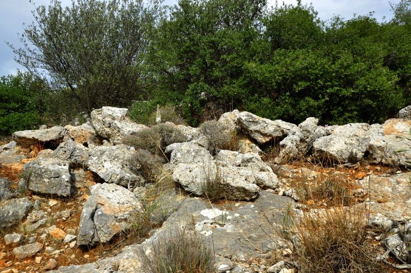 Ένα σπασμένο κεραμίδι που βρέθηκε στο Ποικίλο γεννά πλήθος ιστορικά ερωτήματα 14 Ένα σπασμένο κεραμίδι που βρέθηκε στο Ποικίλο γεννά πλήθος ιστορικά ερωτήματα 13