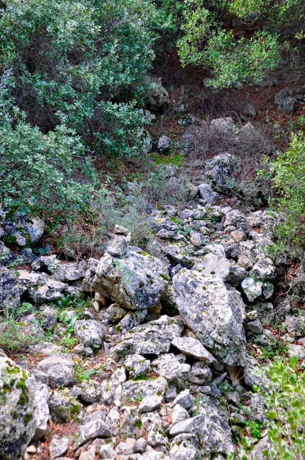 Ένα σπασμένο κεραμίδι που βρέθηκε στο Ποικίλο γεννά πλήθος ιστορικά ερωτήματα 16 Ένα σπασμένο κεραμίδι που βρέθηκε στο Ποικίλο γεννά πλήθος ιστορικά ερωτήματα 15