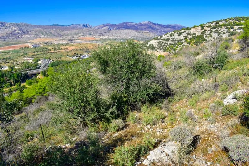 Ένα σπασμένο κεραμίδι που βρέθηκε στο Ποικίλο γεννά πλήθος ιστορικά ερωτήματα 3 Ένα σπασμένο κεραμίδι που βρέθηκε στο Ποικίλο γεννά πλήθος ιστορικά ερωτήματα 2