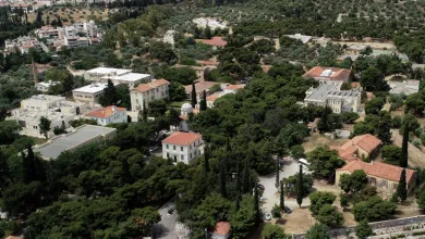 Δολοφονία στο ΨΝΑ: Είχε σκοτώσει γυναίκα στην Κέρκυρα ο δράστης - "Τα ψυχιατρικά νοσοκομεία δεν είναι φυλακές" 54
