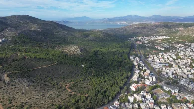 Απάντηση του Υπουργείου Πολιτισμού στο "Χαϊδάρι Σήμερα" 25