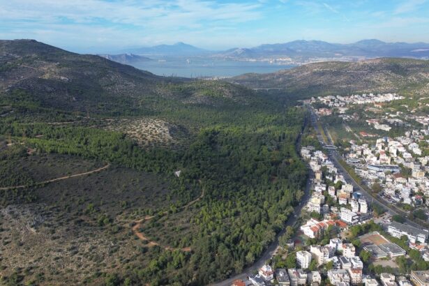 Δήμος Χαϊδαρίου: Ειδικό σχέδιο οργανωμένης προληπτικής απομάκρυνσης πολιτών του Δήμου Χαϊδαρίου 47