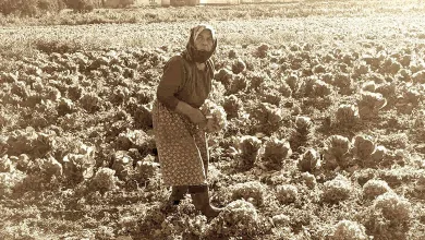 Φόρος τιμής στην αγρότισσα του Ασπροπύργου 19