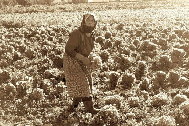 Φόρος τιμής στην αγρότισσα του Ασπροπύργου 45