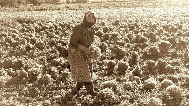 Φόρος τιμής στην αγρότισσα του Ασπροπύργου 2 Φόρος τιμής στην αγρότισσα του Ασπροπύργου 1