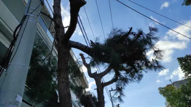 "Τι μασκαριλίκια είναι αυτά;" 25