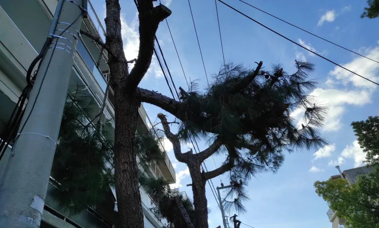 "Τι μασκαριλίκια είναι αυτά;" 2 "Τι μασκαριλίκια είναι αυτά;" 1