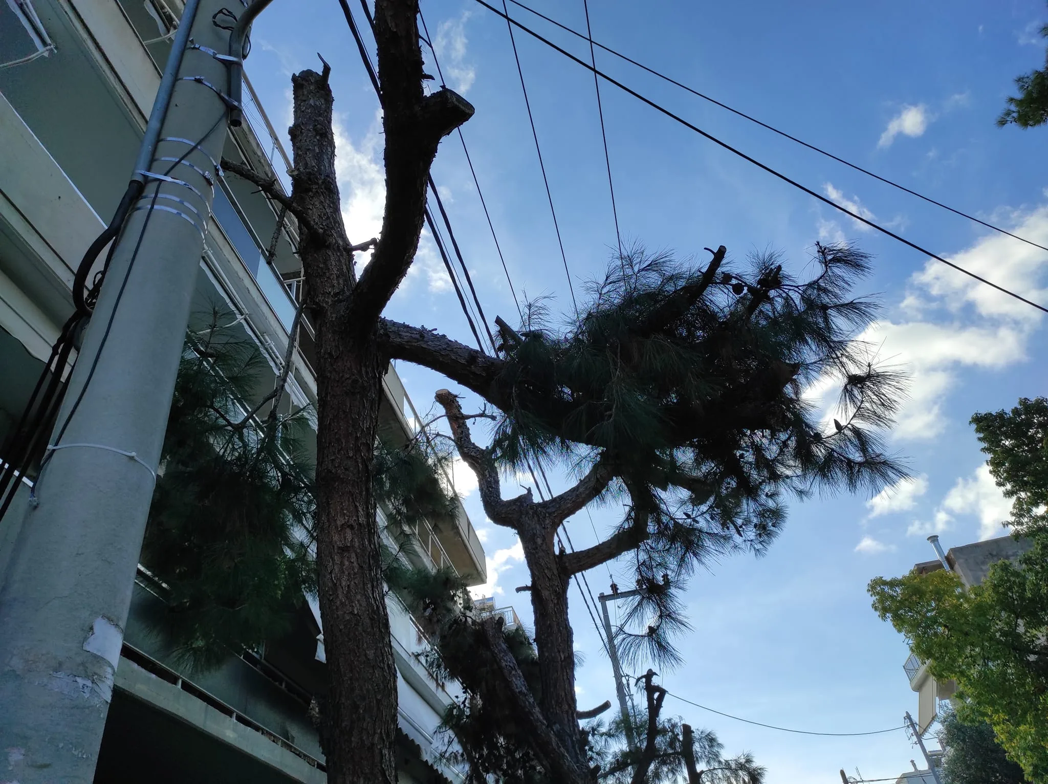 "Τι μασκαριλίκια είναι αυτά;" 4 "Τι μασκαριλίκια είναι αυτά;" 3