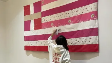 Δήλωση της Γεωργίας Λαλέ για τον σάλο με τη σημαία στο Γενικό Προξενείο της Νέας Υόρκης 27