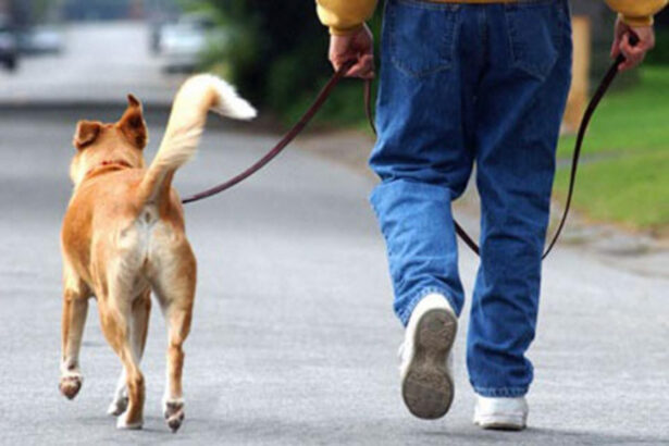 "Δεν είναι συμπεριφορά κηδεμόνα αυτή!" 3