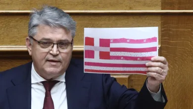 Συζήτηση για τον προϋπολογισμό: Έξαλλος ο Δ. Νατσιός με τη σημαία της Γεωργίας Λαλέ 49