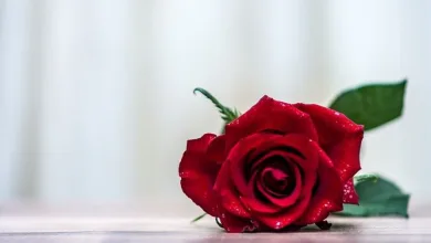 "Κάτω τα χέρια από τις εργαζόμενες που διεκδικούν τα δικαιώματά τους" 31