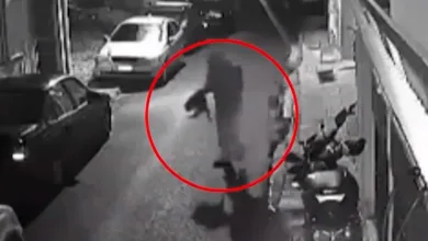 Ιστορική καταδίκη 33χρονου που σκότωνε γάτες στον Βοτανικό – Πώς εξόργισε το δικαστήριο 1