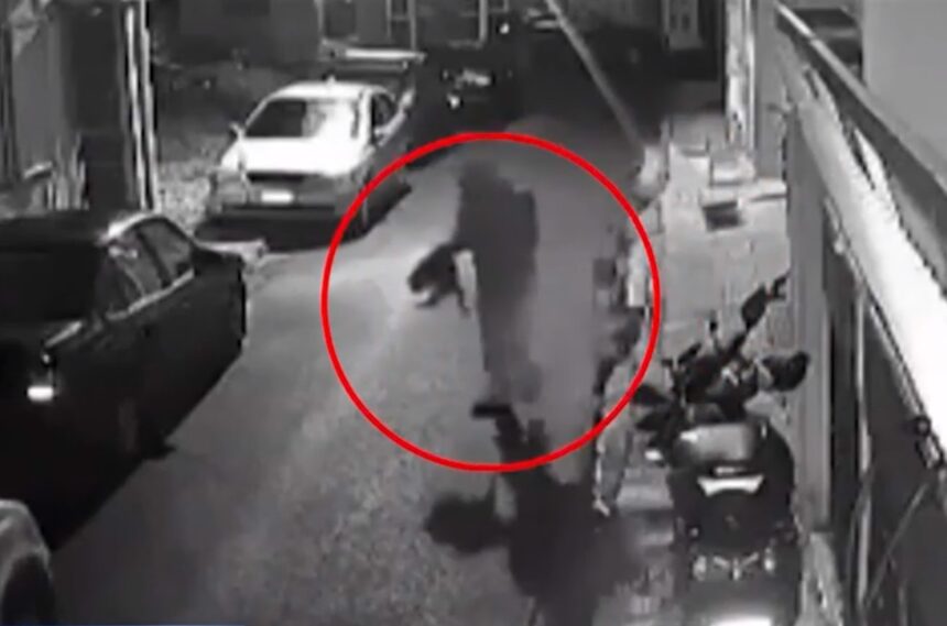 Ιστορική καταδίκη 33χρονου που σκότωνε γάτες στον Βοτανικό – Πώς εξόργισε το δικαστήριο 2 Ιστορική καταδίκη 33χρονου που σκότωνε γάτες στον Βοτανικό – Πώς εξόργισε το δικαστήριο 1