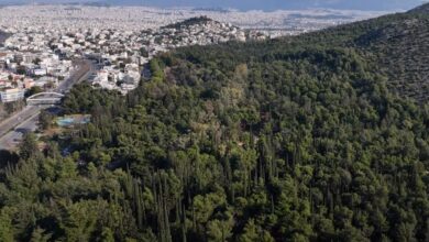 Διομήδειος Βοτανικός Κήπος - Βίντεο από ψηλά 9