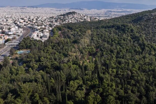 Διομήδειος Βοτανικός Κήπος - Βίντεο από ψηλά 3