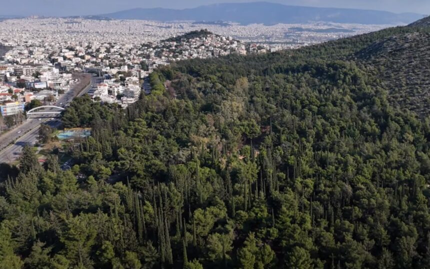 Διομήδειος Βοτανικός Κήπος - Βίντεο από ψηλά 1