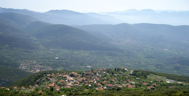 Ντρέδες
