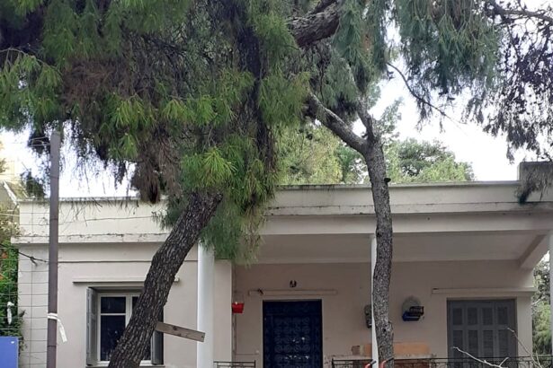 Μία ακόμη παλιά μονοκατοικία του Δάσους γίνεται πολυκατοικία 11