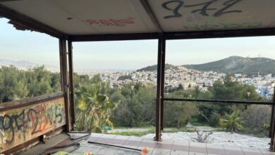 "Nα αναστήσουμε το Πάρκο Θεαθήναι - Οικολογική ανάσα της Δυτικής Αθήνας και πίστα skate!" 30