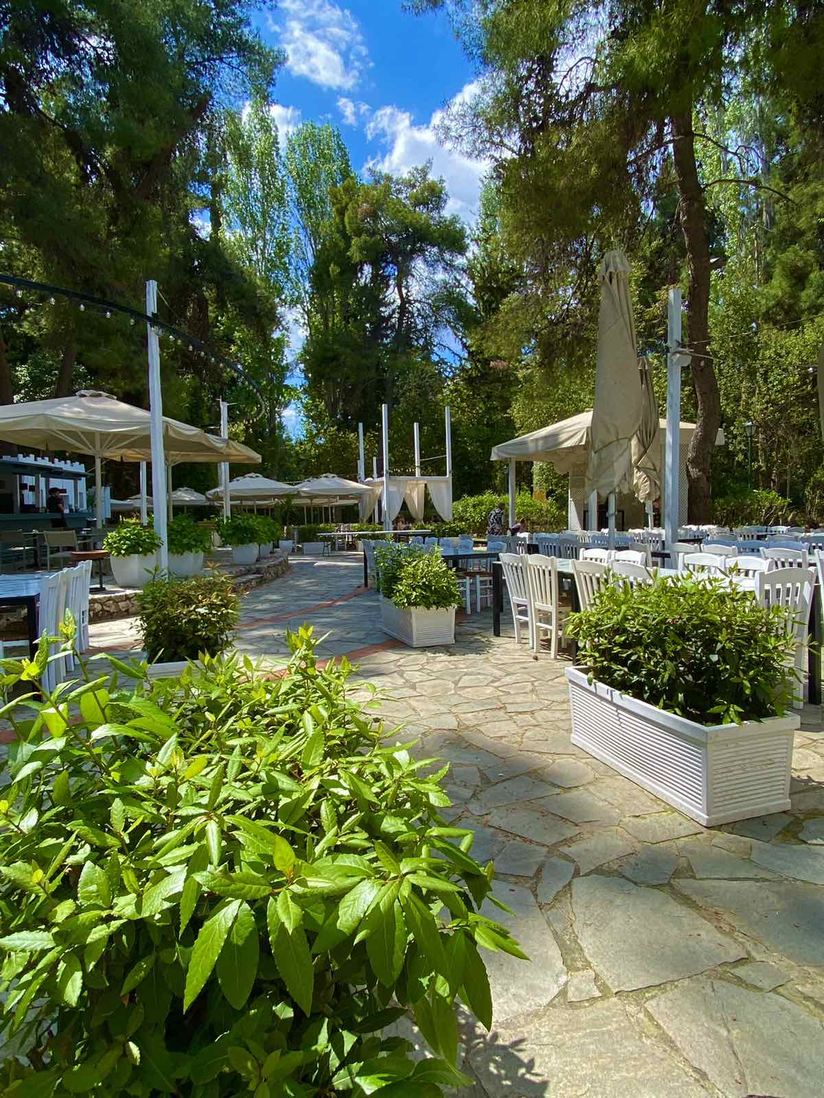Την 25η Μαρτίου θα την περάσουμε στη "Γιορτή" από το πρωί! 6 Την 25η Μαρτίου θα την περάσουμε στη "Γιορτή" από το πρωί! 5