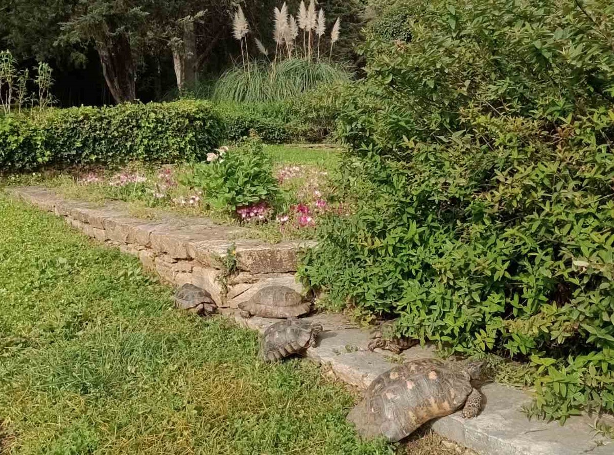 Διομήδειος Βοτανικός Κήπος, καταφύγιο άγριας ζωής 2