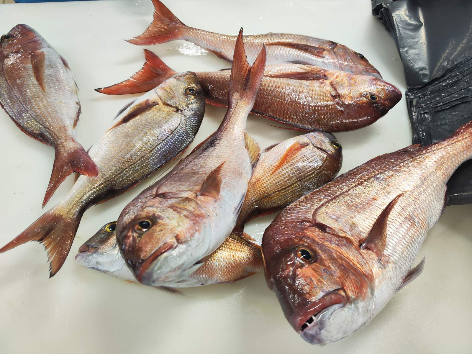 Για την Κυριακή των Βαΐων ποντάρω στην ΑργυρόΝησο Fish&Grill 14 Για την Κυριακή των Βαΐων ποντάρω στην ΑργυρόΝησο Fish&Grill 13