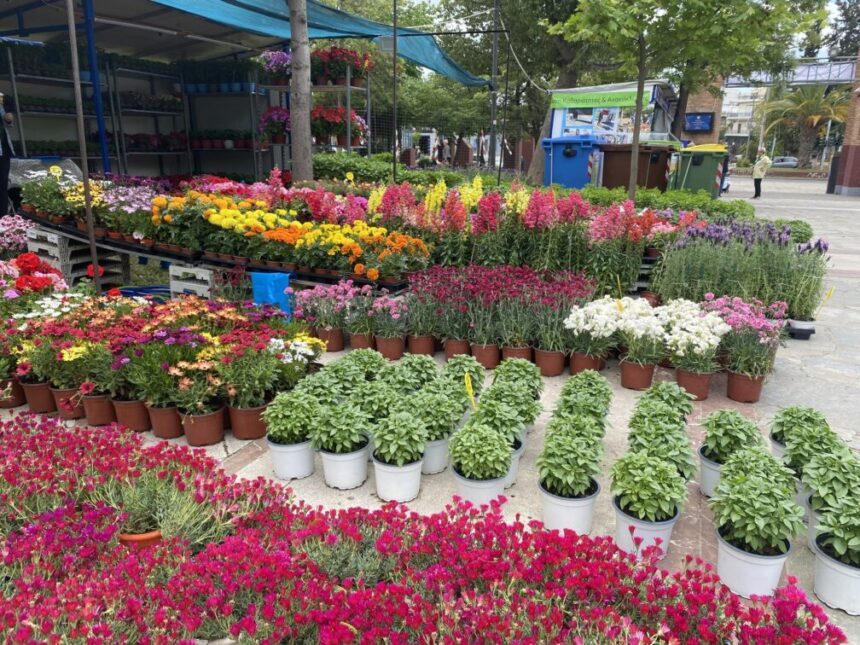 Ανοιξιάτικη διάθεση στην Ανθοκομική Έκθεση Αιγάλεω! 1