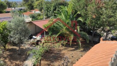 Πωλείται εξοχική μονοκατοικία στους Αγίους Θεοδώρους 53