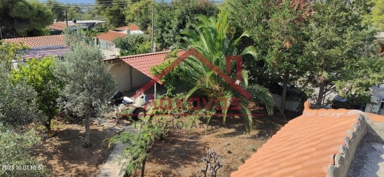 Πωλείται εξοχική μονοκατοικία στους Αγίους Θεοδώρους 2 Πωλείται εξοχική μονοκατοικία στους Αγίους Θεοδώρους 1
