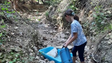 Νεράκι για την άγρια πανίδα, τώρα που στέρεψε το ποταμάκι της Μονής Δαφνίου 7