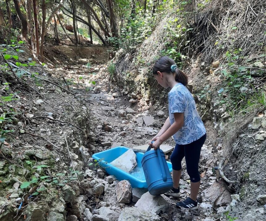 Νεράκι για την άγρια πανίδα, τώρα που στέρεψε το ποταμάκι της Μονής Δαφνίου 1
