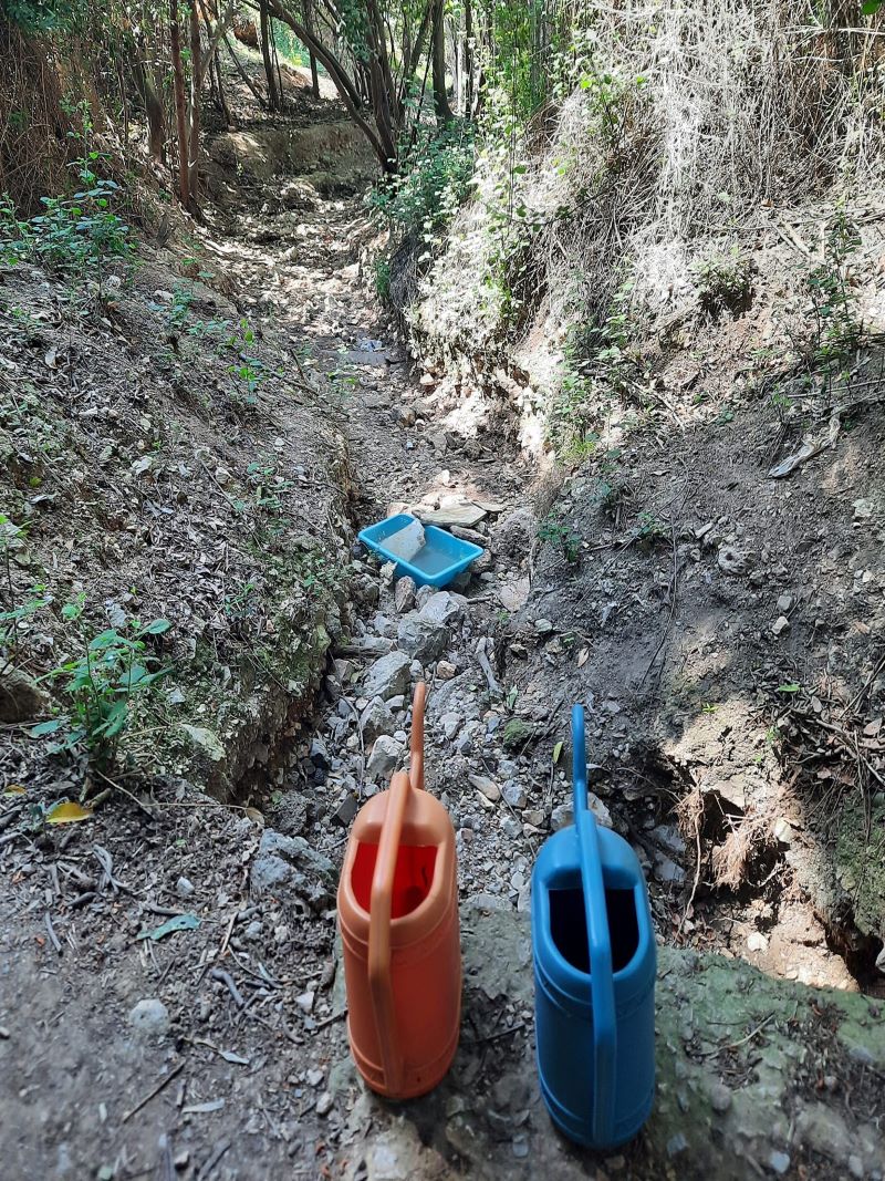 Νεράκι για την άγρια πανίδα, τώρα που στέρεψε το ποταμάκι της Μονής Δαφνίου 4 Νεράκι για την άγρια πανίδα, τώρα που στέρεψε το ποταμάκι της Μονής Δαφνίου 3