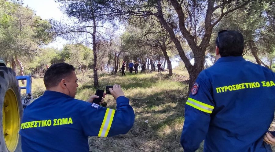 Μεγάλη παρέμβαση σε Διομήδειο Κήπο, Αιγάλεω, Ποικίλο 3 Μεγάλη παρέμβαση σε Διομήδειο Κήπο, Αιγάλεω, Ποικίλο 2