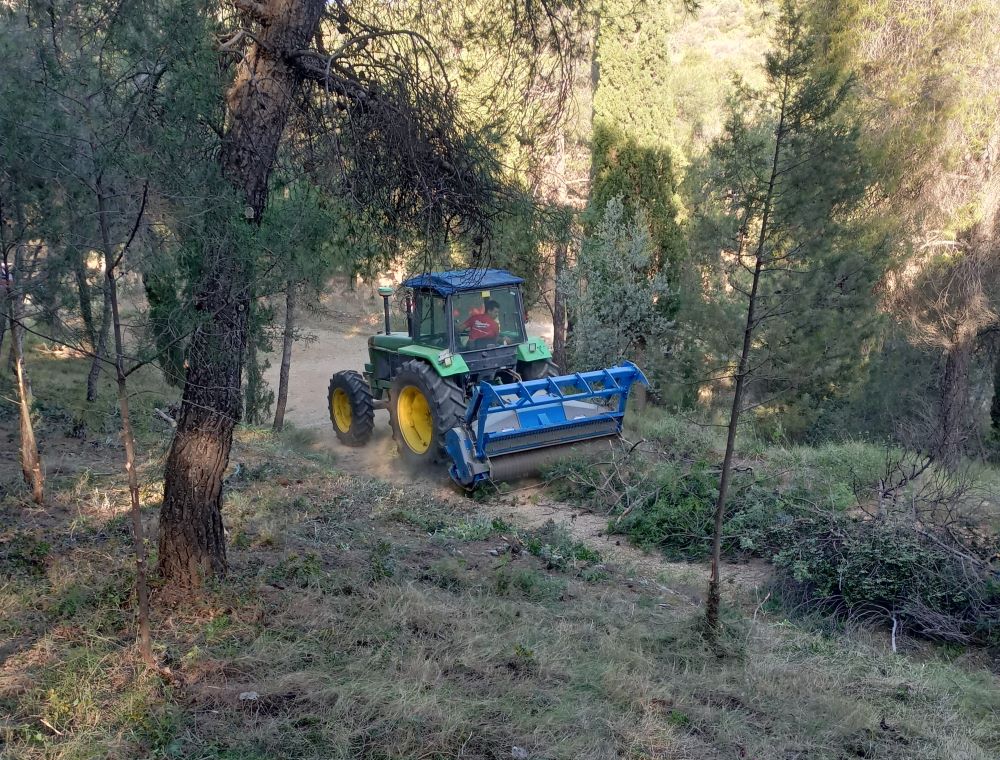 Πρόγραμμα μαμούθ AntiNero: - "Δεν θα σωθούν τα δάση αν τα ισοπεδώνουμε" 3 δάση
