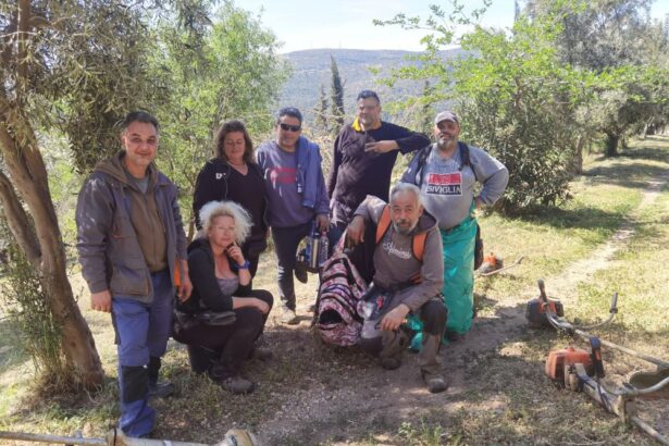 Πάρκο Εθελοντισμού: Αντιπυρική παρέμβαση πριν από τα μέσα Απρίλη! 35