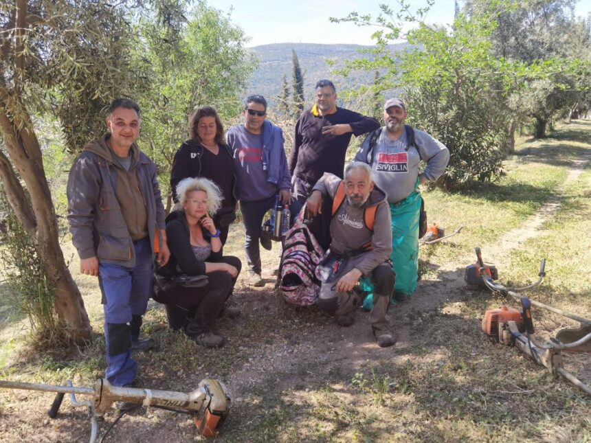 Πάρκο Εθελοντισμού: Αντιπυρική παρέμβαση πριν από τα μέσα Απρίλη! 2 Πάρκο Εθελοντισμού: Αντιπυρική παρέμβαση πριν από τα μέσα Απρίλη! 1