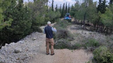 Μπήκαν μπουλντόζες στον Διομήδειο Κήπο; 21