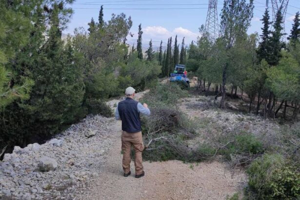 Μπήκαν μπουλντόζες στον Διομήδειο Κήπο; 31