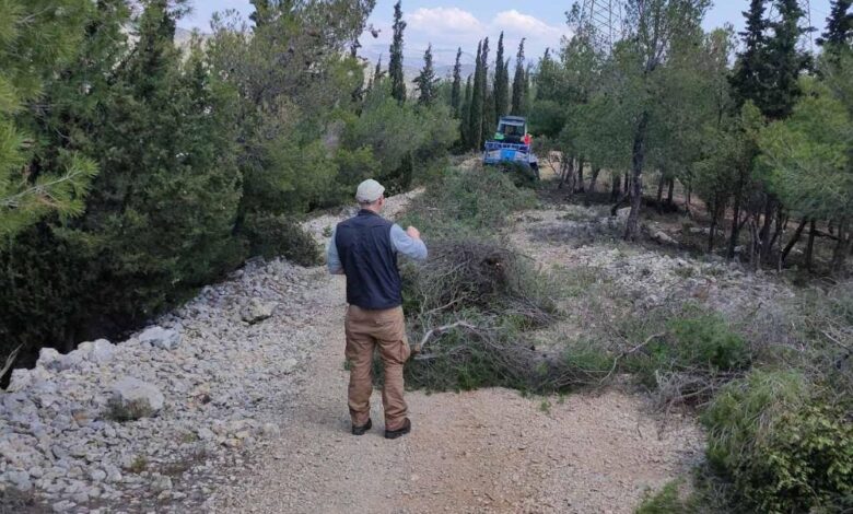 Μπήκαν μπουλντόζες στον Διομήδειο Κήπο; 1